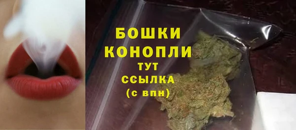 крисы Покачи