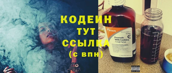 герыч Пересвет