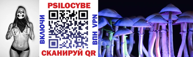 Псилоцибиновые грибы Cubensis  где найти наркотики  Шебекино 