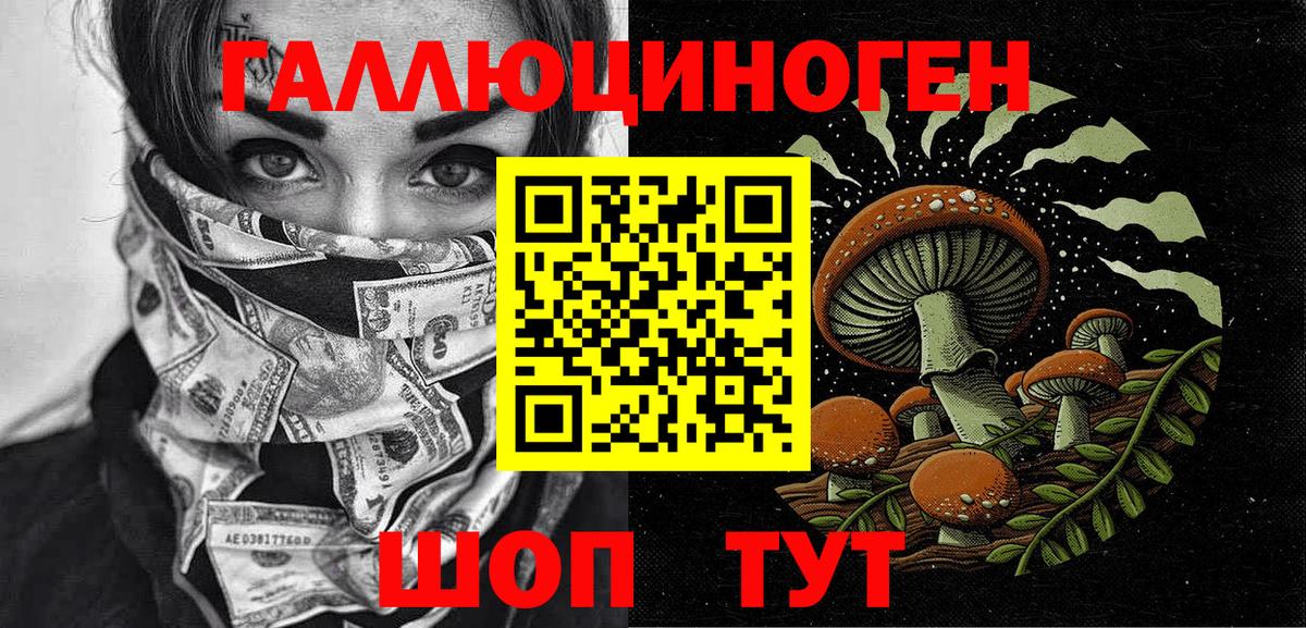 Шебекино  Псилоцибиновые грибы MAGIC MUSHROOMS  Вход с VPN  Псилоцибиновые грибы Cubensis 