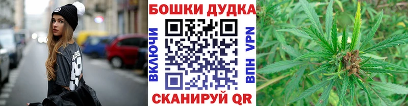 Марихуана сатива  Шебекино 